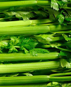 celery.jpg