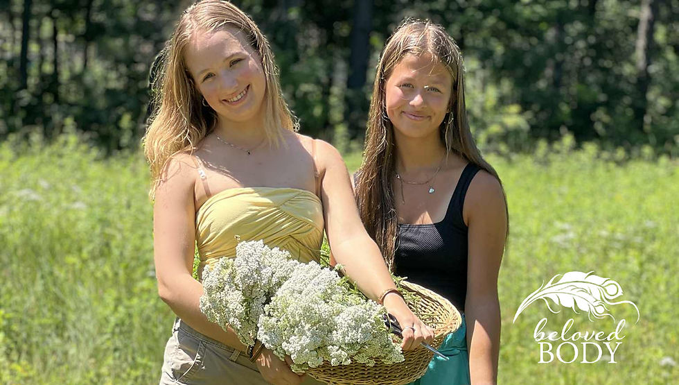 Thumbnail: YARROW // Dry Yarrow Flowers // Hand-Picked