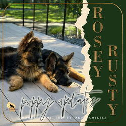 ROSEY & RUSTY