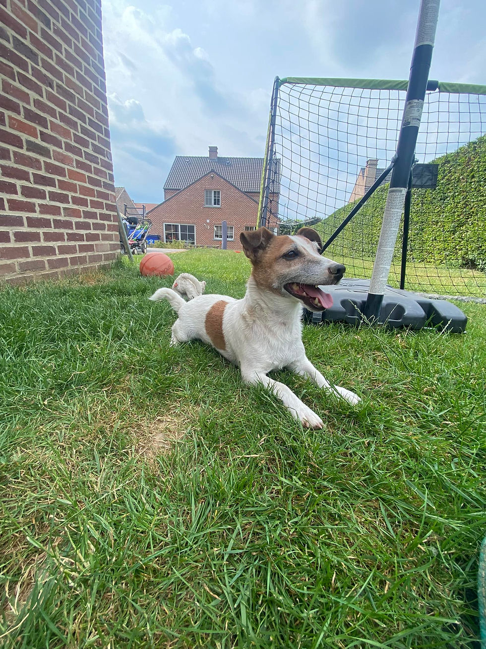 494174370_10054620234630579_4684178394469482762_n