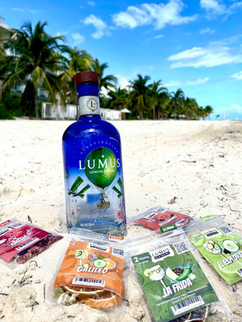 gin and tonic en la playa con una botella de ginebra