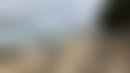 高知県三崎アメダス