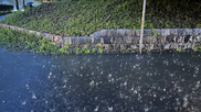 深い気圧の谷通過 発達した低気圧で太平洋側大雨 1時間降水量5月極値7地点