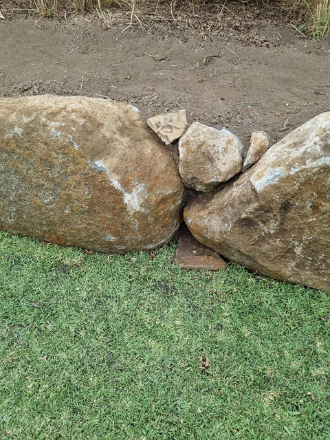Turf Installation