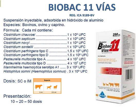 CATALOGO_PAGINA_WEB_Página_139.png