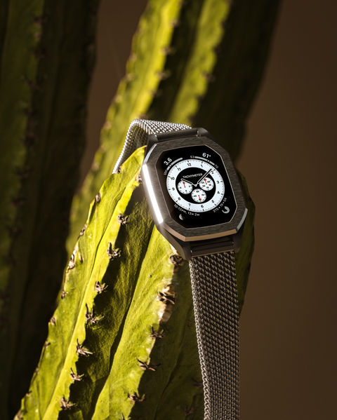 watch cactus copy.JPG