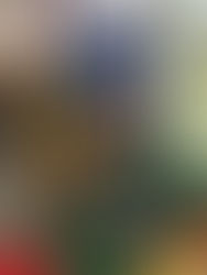 Reflect & Connect 1: The Rookie Teacher