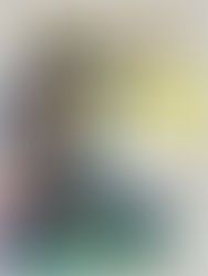 LAE 4424: Non-fiction Information Books