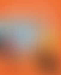 LAE 4424: Contemporary Realistic Fiction Books