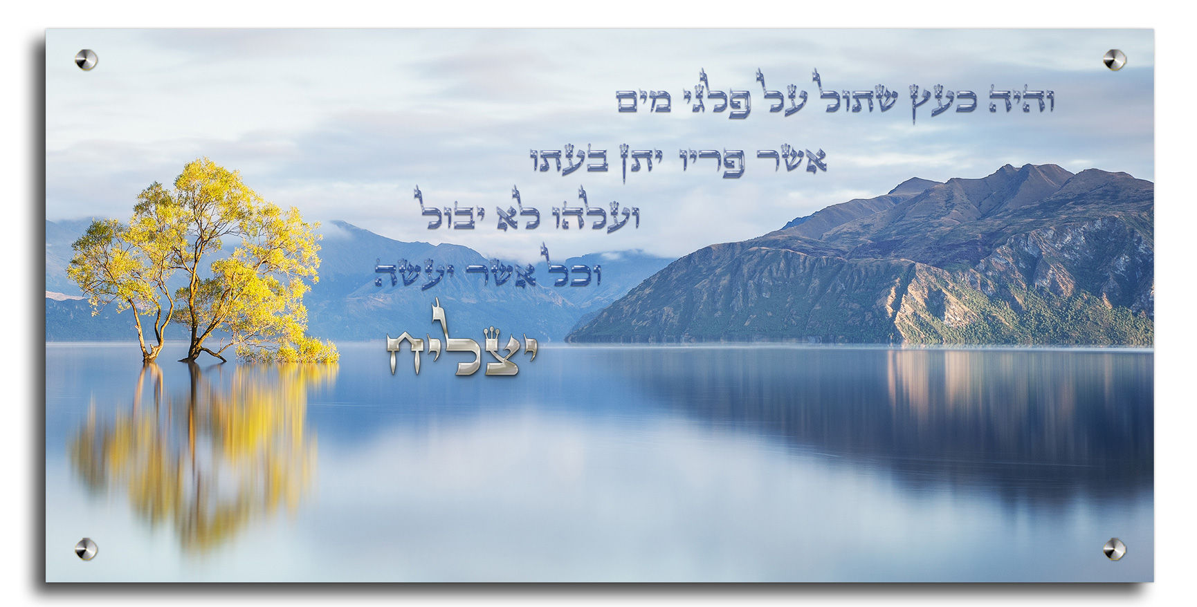מתנות יוקרתיות לבית