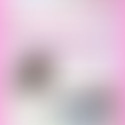 撮影会☆合同写真展フェス vol.2
