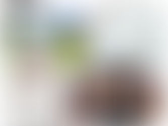 2024年6月29日(土) マシュマロ撮影会コラボ企画 詳細