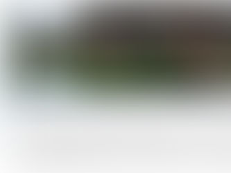 What Actually Matters in a Home Inspection