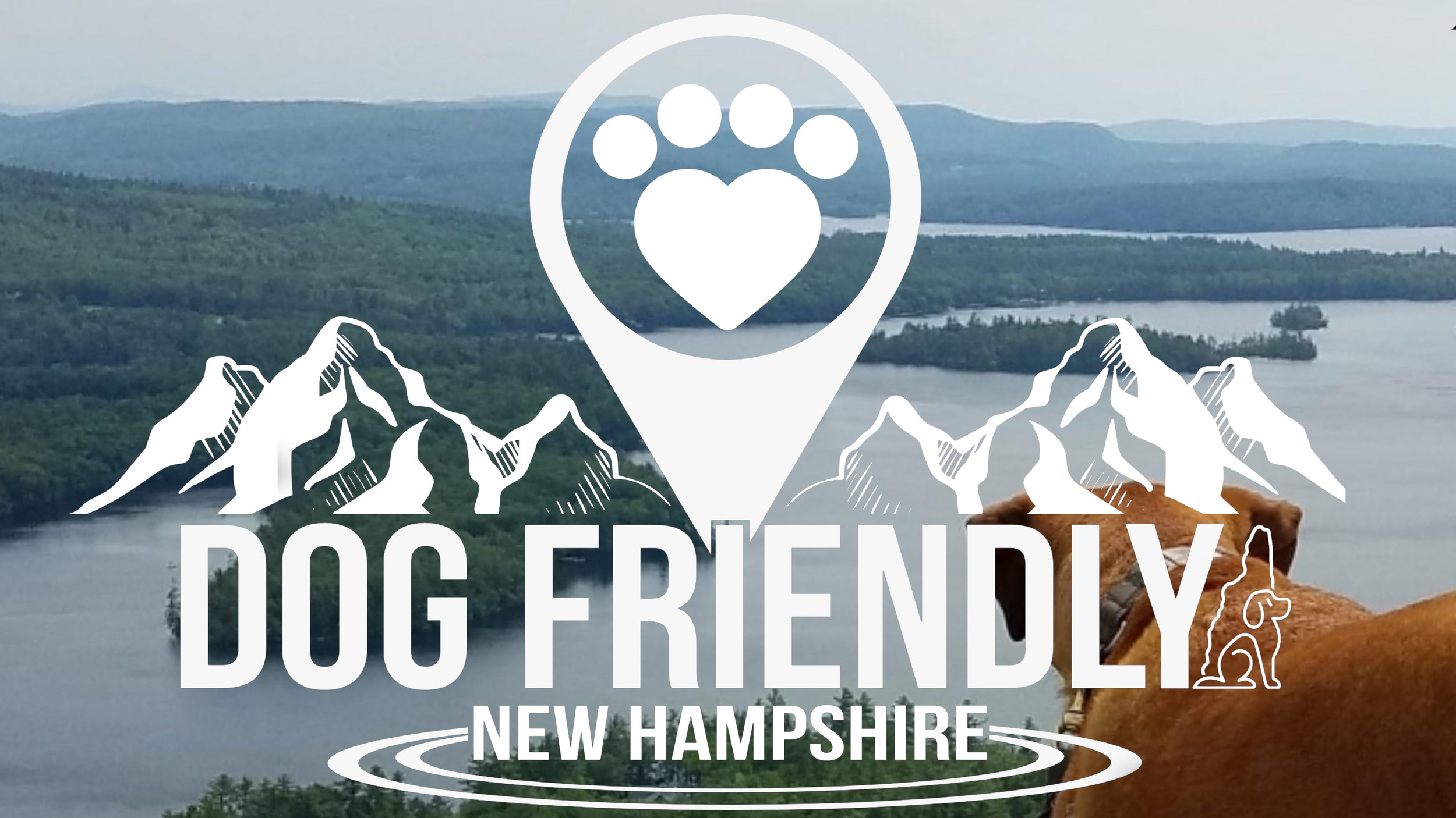 dog-friendly-nh-dog-nh-usa