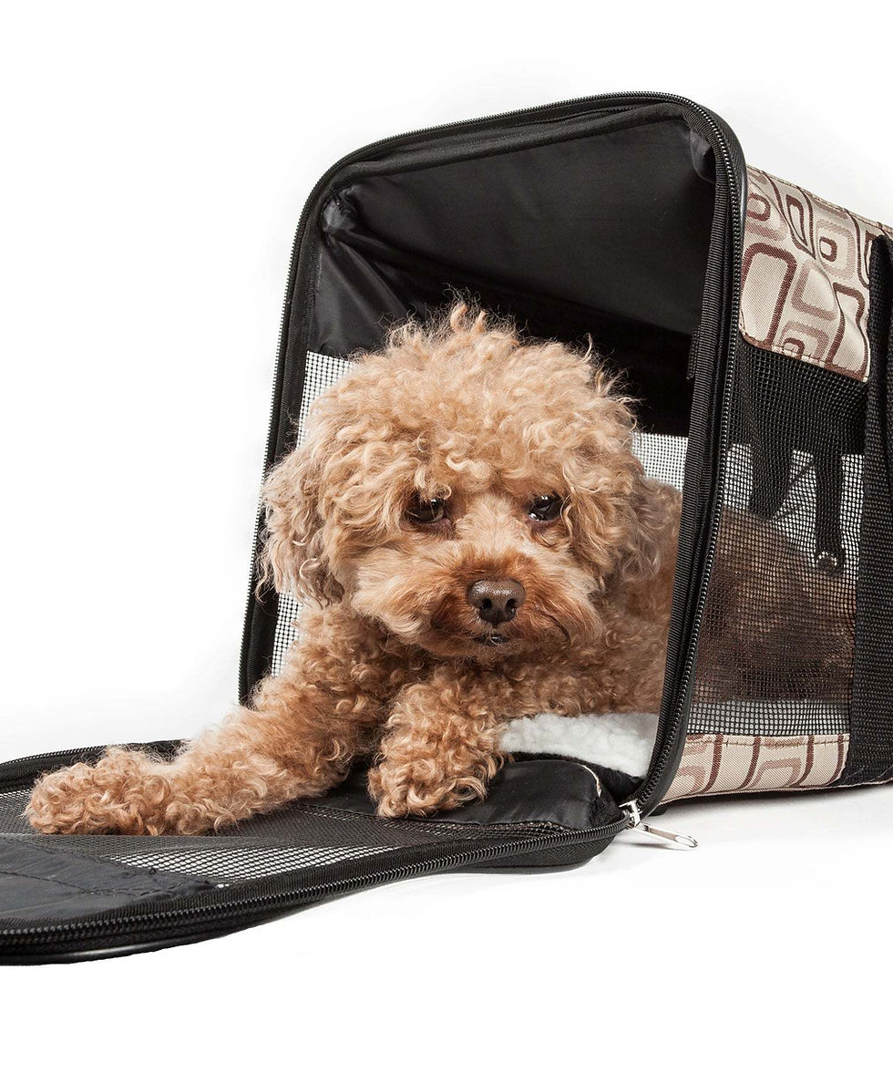 Thumbnail: Airline Approved 'Flightmax' Collapsible Pet Carrier