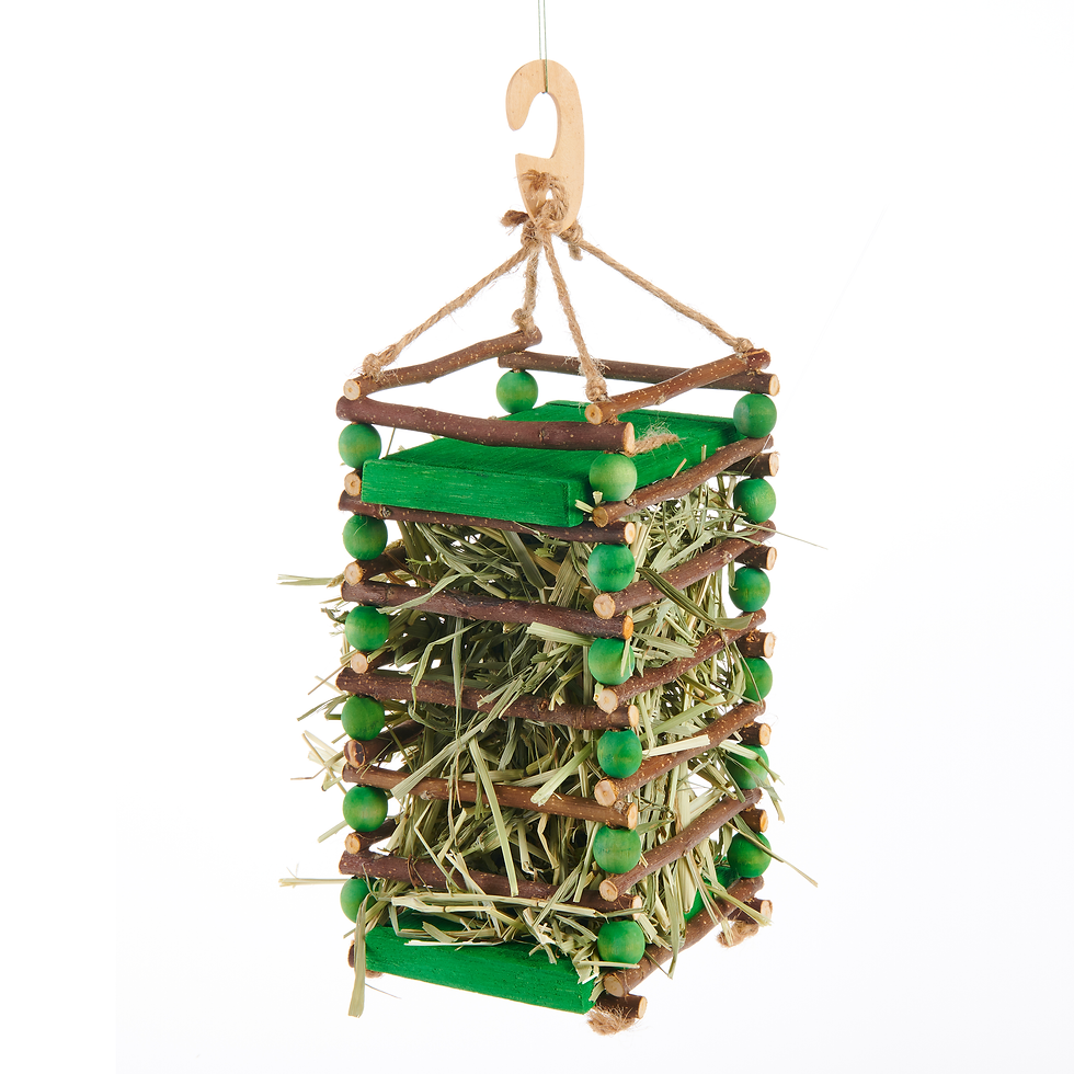 Thumbnail: Enriched Life - Apple Stick Hay Feeder