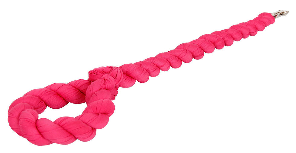 Thumbnail: Pet Life Tough-Tugger Industrial-Strength Shock Absorption Woven Dog Leash