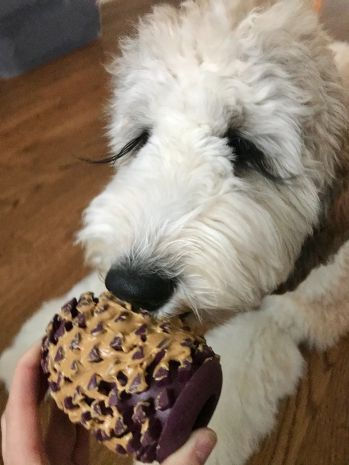 Thumbnail: NATURAL RUBBER PINECONE TOY