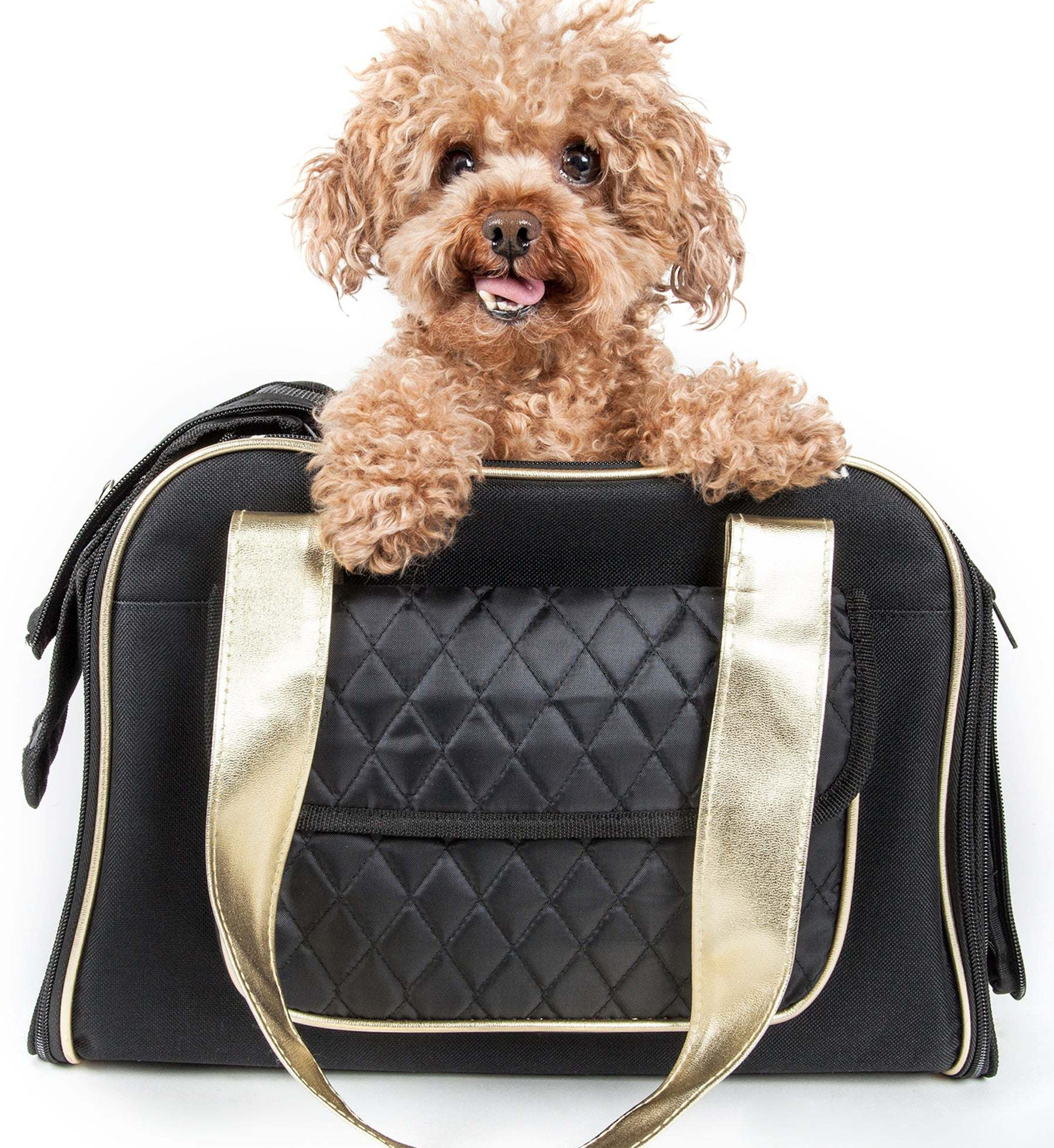 Airline Approved Mystique Fashion Pet Carrier