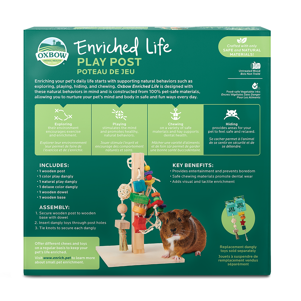 Thumbnail: Enriched Life - Play Post