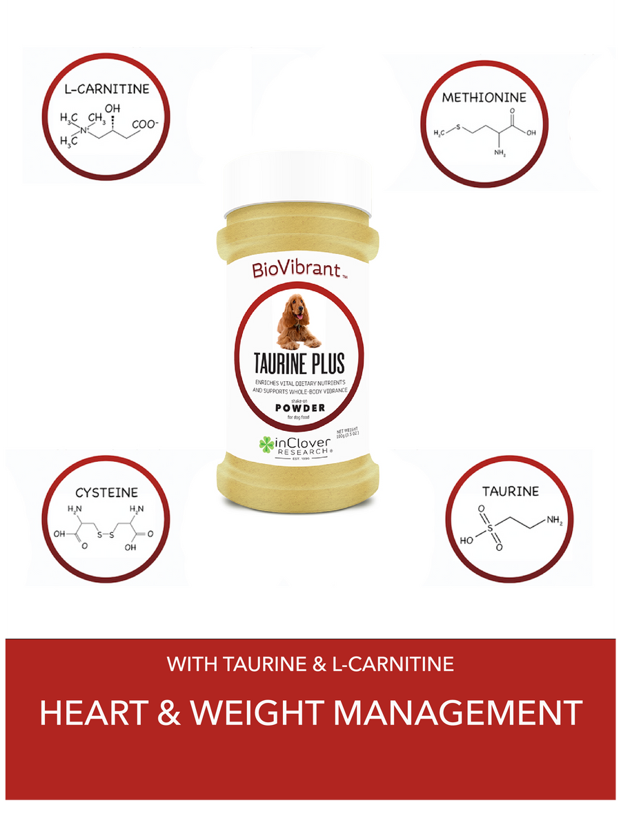Thumbnail: BioVibrant-100% ActiveIngredient Heart, Brain Development, and Metabolisim