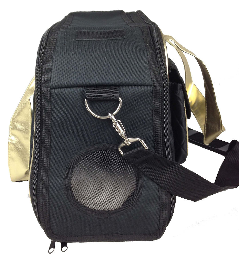 Thumbnail: Airline Approved Mystique Fashion Pet Carrier