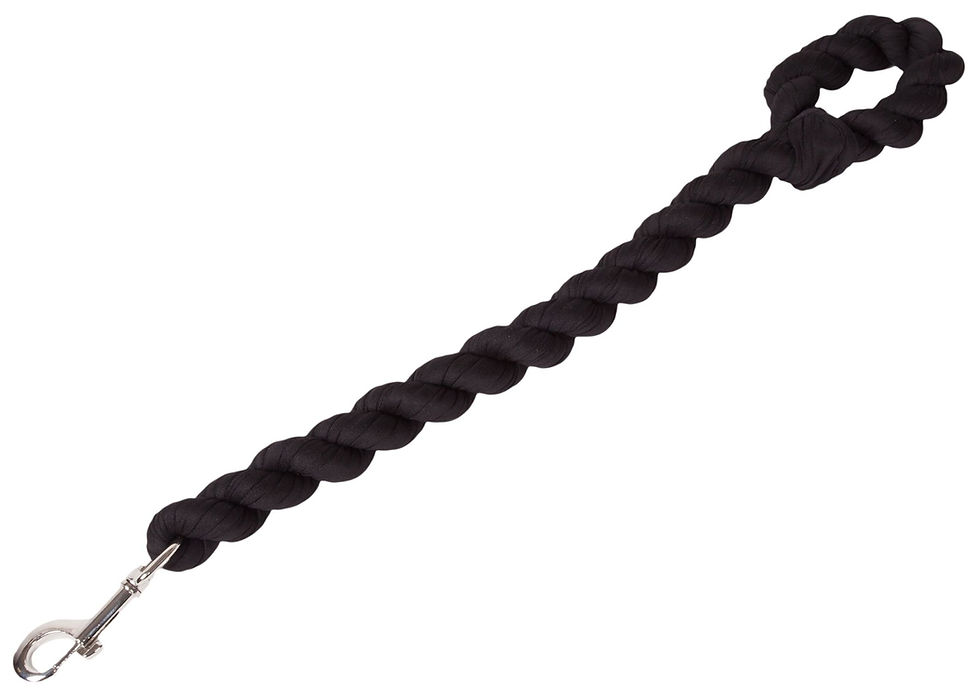 Thumbnail: Pet Life Tough-Tugger Industrial-Strength Shock Absorption Woven Dog Leash