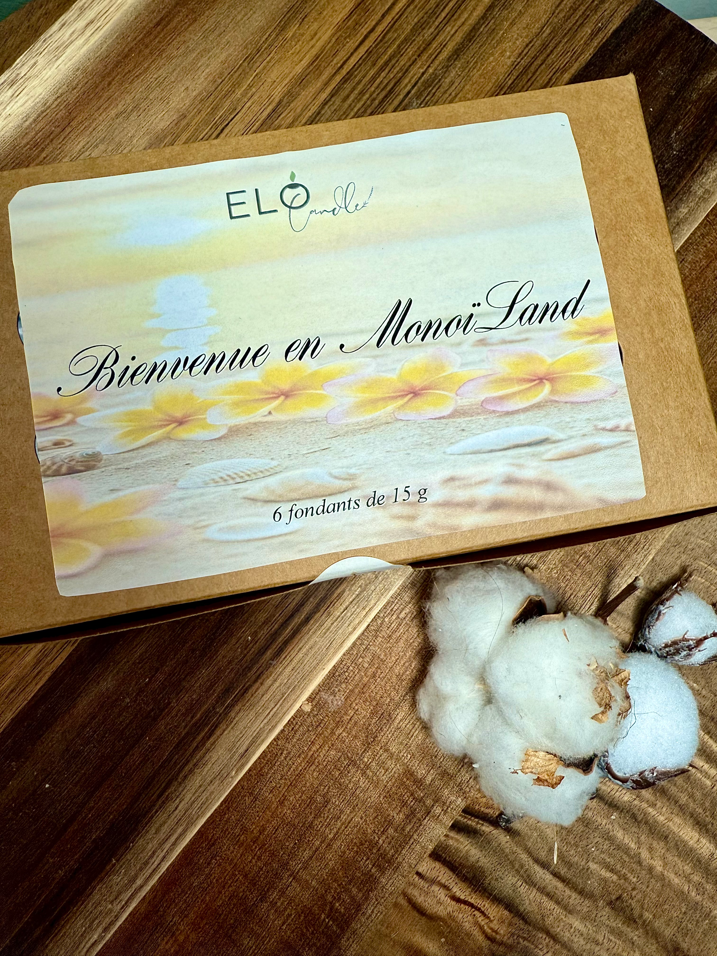 Bienvenue en MonoïLand