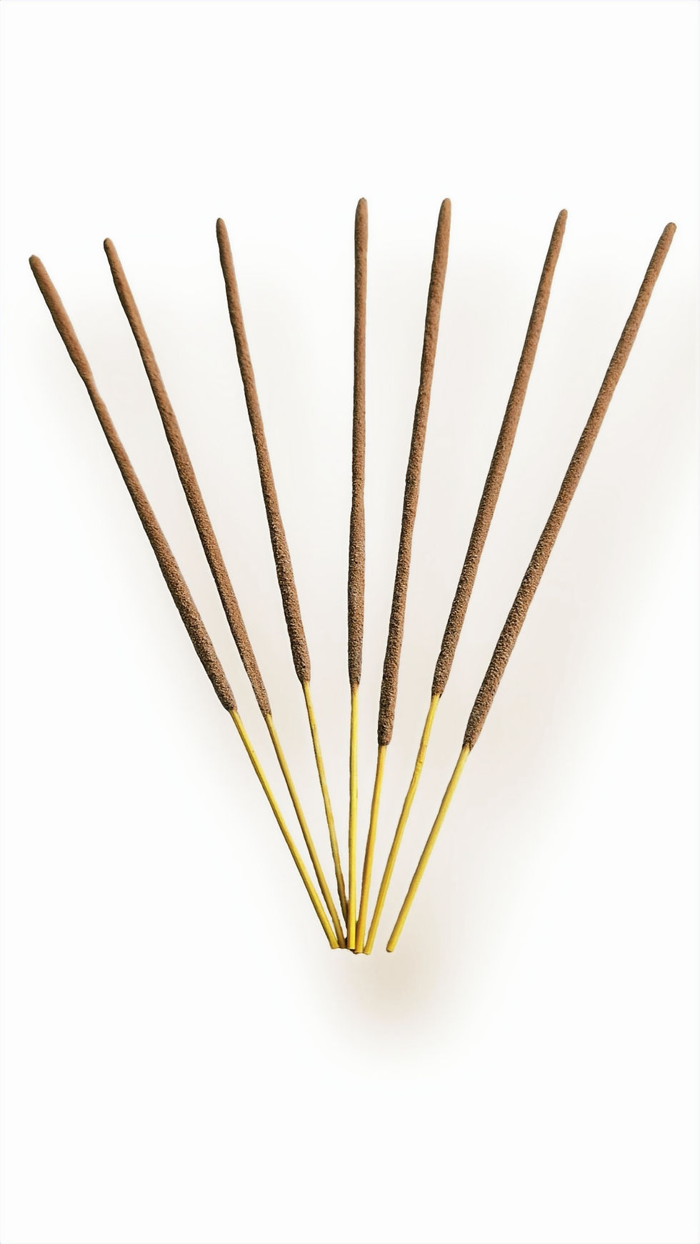 Miniature : Encens Nag Champa : L'Icône Sacrée de l'Inde