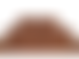 Retos knygos ir rankraščiai