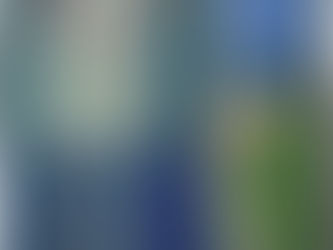 Richard Diebenkorn paveikslas Christie's aukcione parduodamas už 46,4 mln