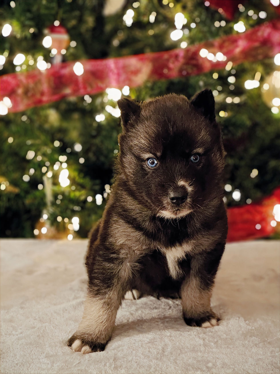 IMG20241217200740_01_edited