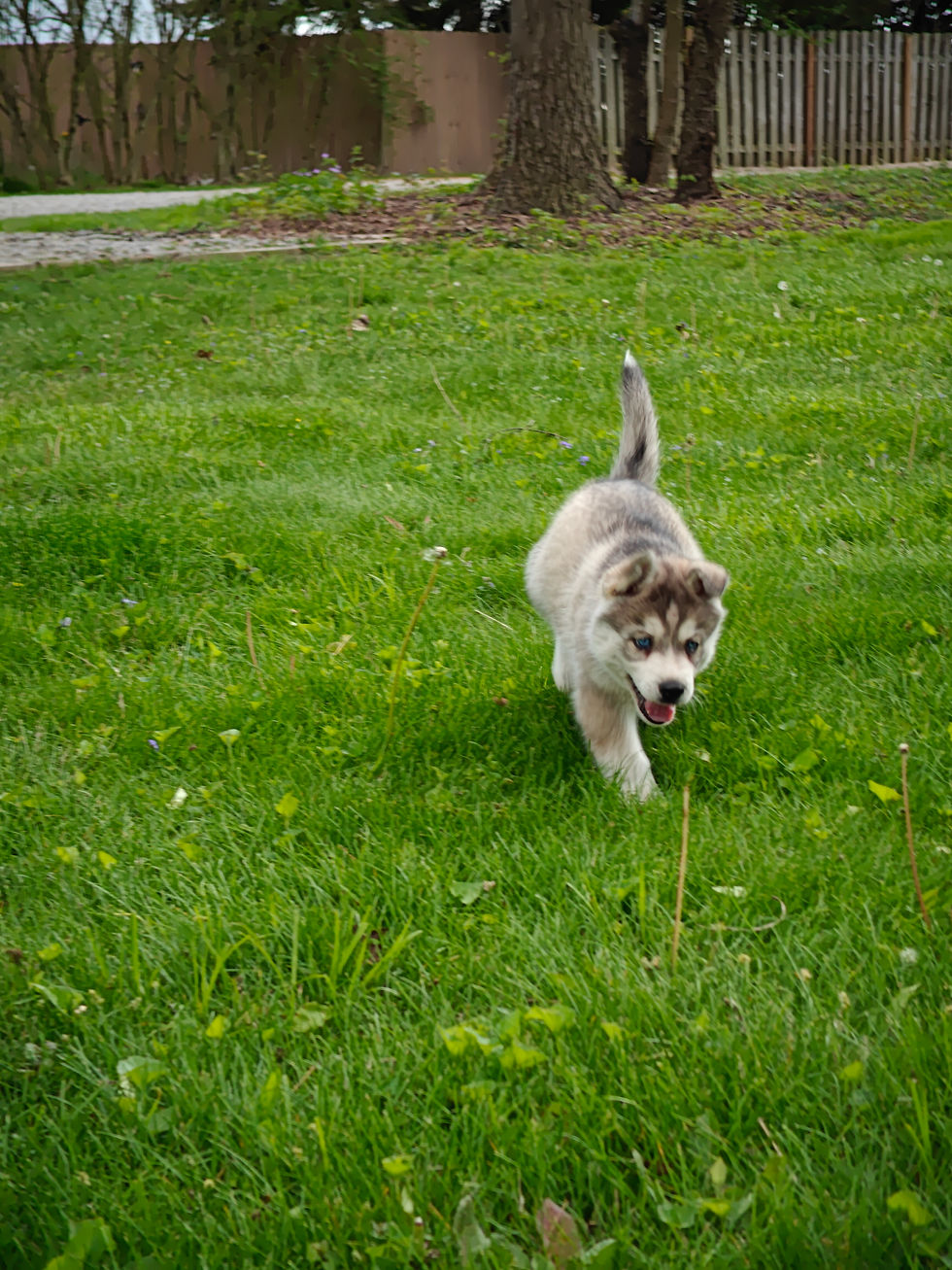 IMG20240428155024_01