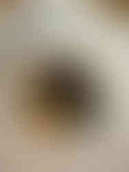 Recette à la truffe