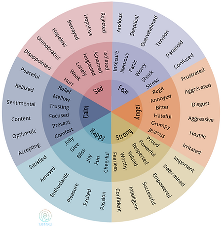 Wheel Of Feelings Chart Instagram Post (1).png