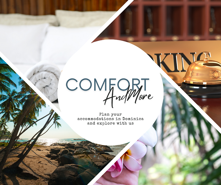 Caribbean Travel-Narakiels Accommodations Homepage Image (1).png