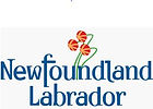 20 NL logo.JPG