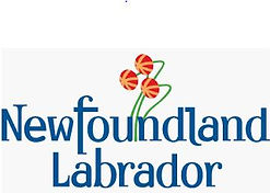 20 NL logo.JPG