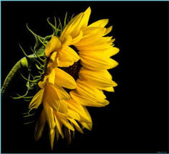 09ED5831-7B1A-4BE9-BD1E-FF43F60CB3F0.jpeg
