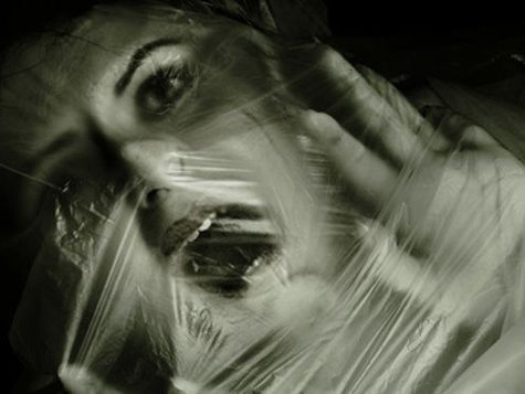 categorías principales de fobias: