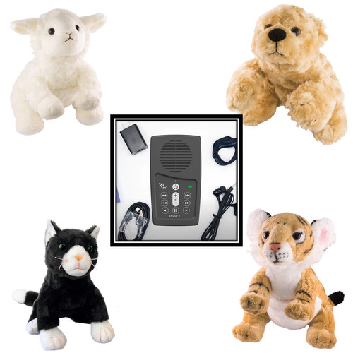 The Holy Bible Solar Audio Player Optional Wildlife Storyteller The holy bible solar audio player optional wildlife storyteller