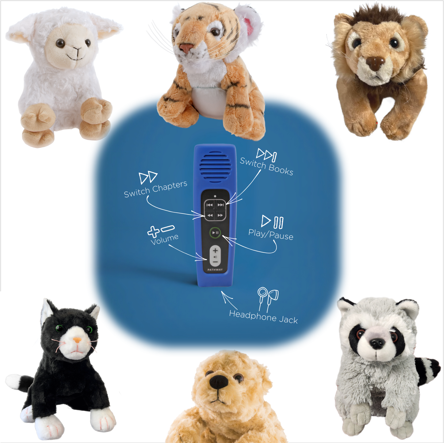 Holy Bible Pathway for Kids audio player with storyteller option