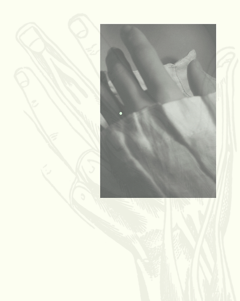 Website Homepage.png