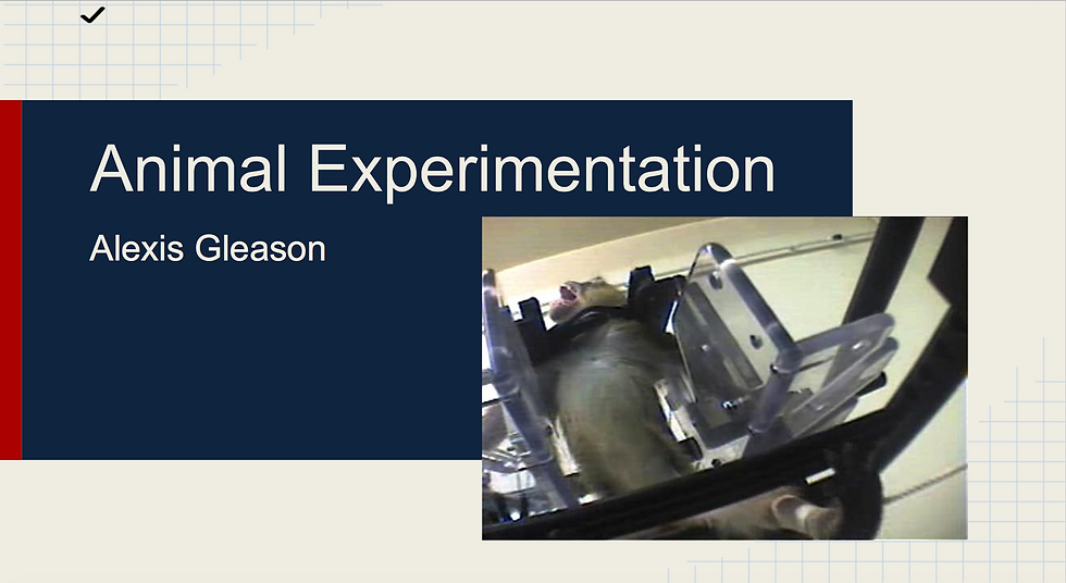 Animal Experimentation