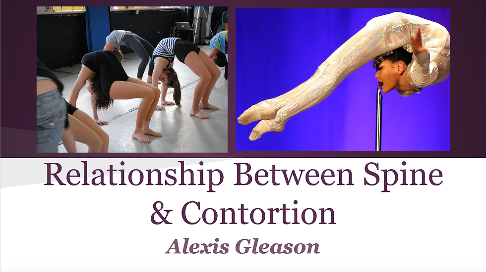 The Spine and Contortion