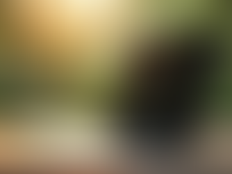 Como Aumentar o Tráfego do Seu Blog de Negócios