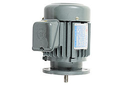 標準型立式馬達