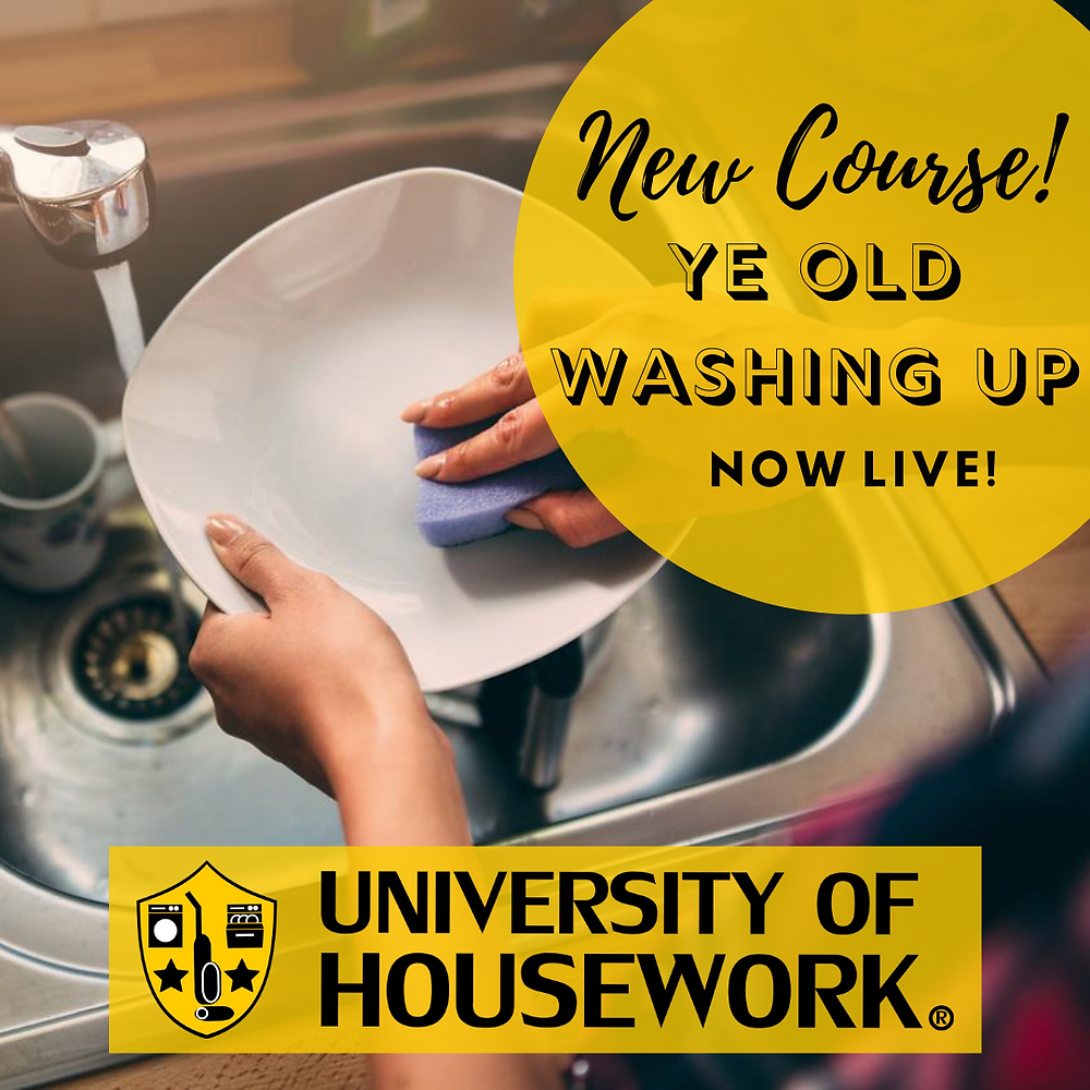 University of Housework Proposal Procrastinator Online Course Joke Gift