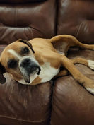 Oldie, It Takes A Vllage.jpg