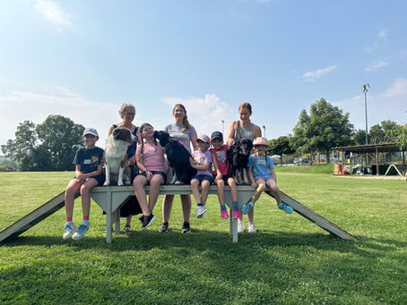 🐾 Ein tierisch guter Ferientag auf dem Hundeplatz 🐶☀️